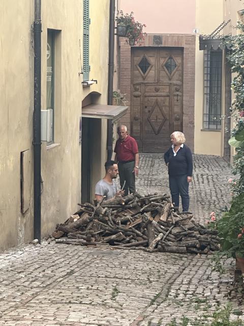 Firewood in a lane